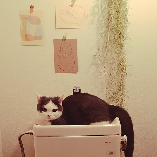yunさんの実例写真
