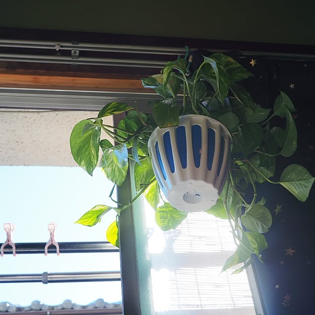 rainbowmakoさんの部屋