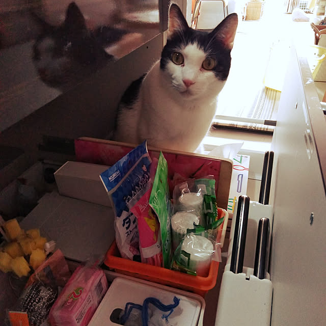 futukoさんの実例写真