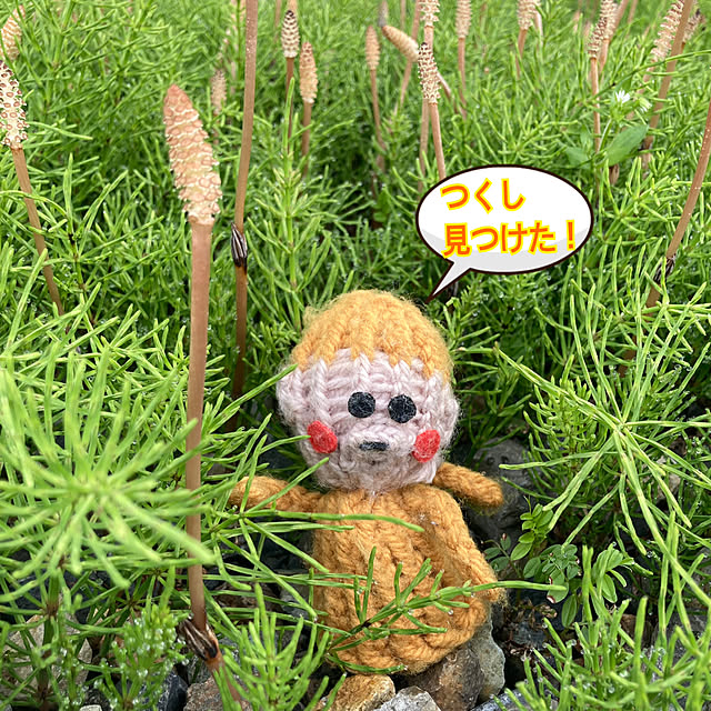 manduonmaさんの実例写真