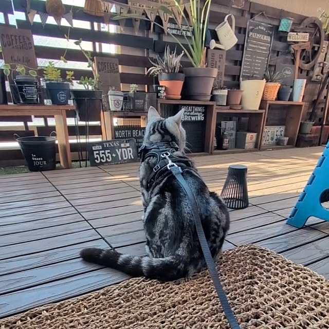 lovepeaceさんの実例写真
