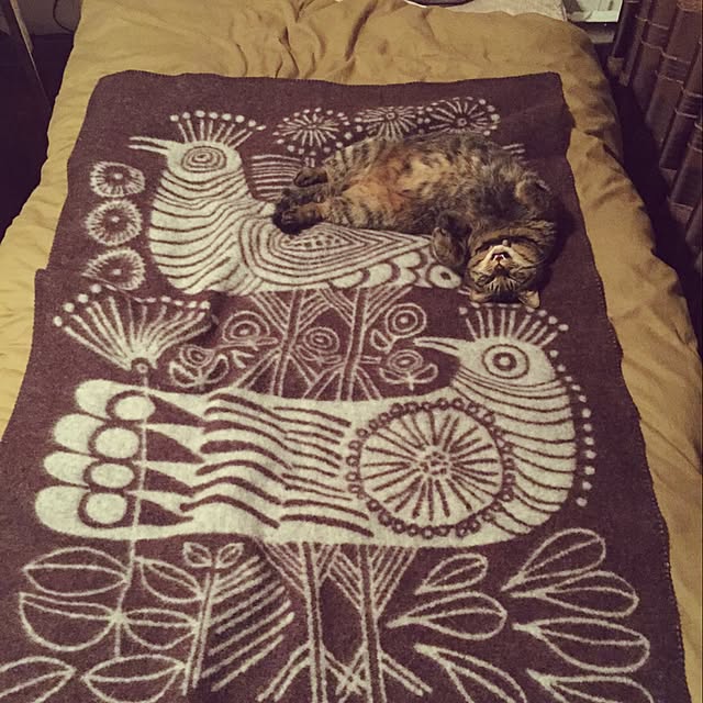 U_tatterさんの実例写真