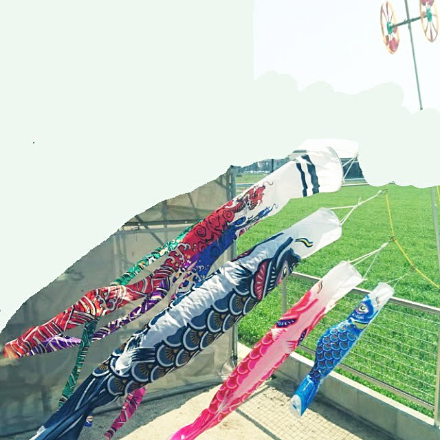 Reiさんの実例写真