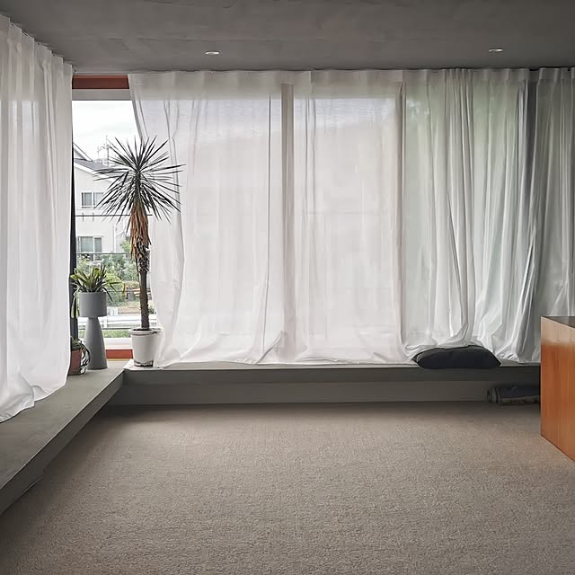 壁/天井のインテリア実例 - 2023-07-22 00:19:01