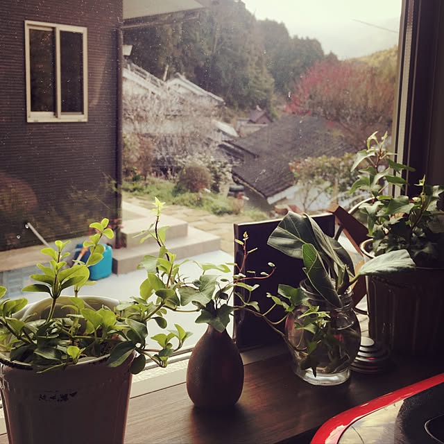 sa-koさんの実例写真