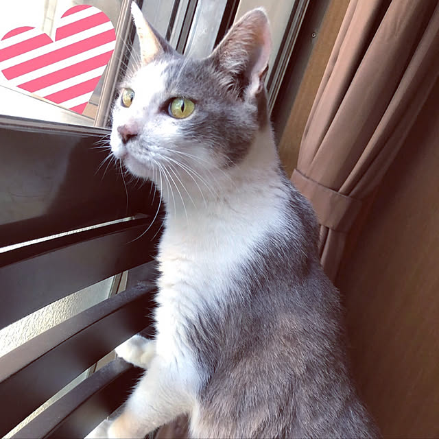earthさんの実例写真