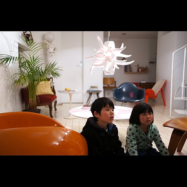 Design papa Ka-tuさんの実例写真