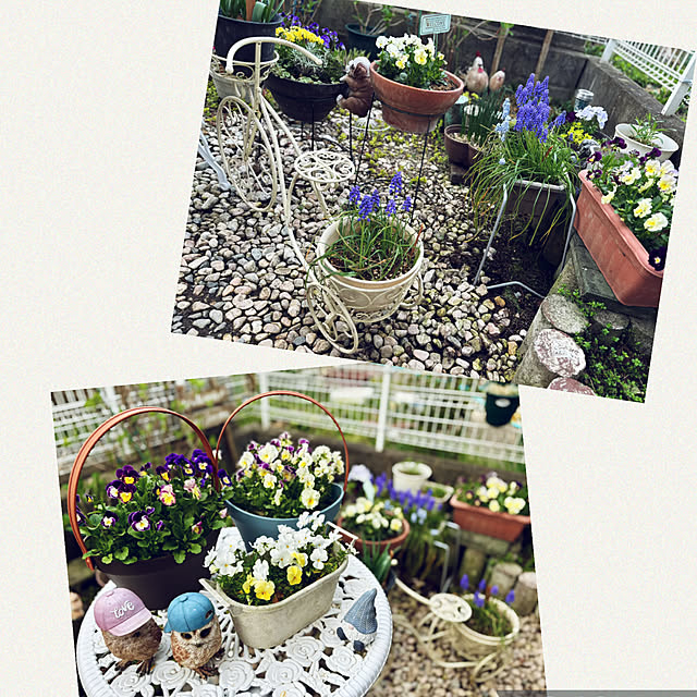 CoCo0617さんの部屋