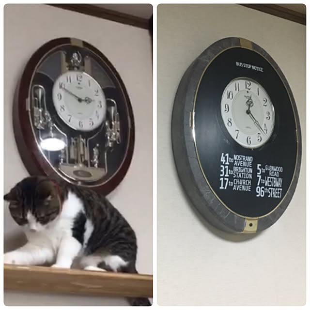 Rumiさんの実例写真