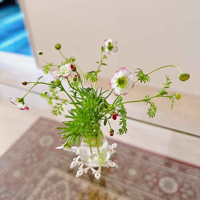 ponme33さんの部屋