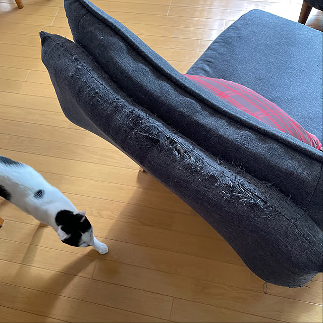 nobikoさんの部屋
