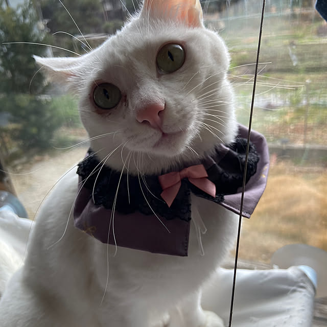 arashi530さんの部屋