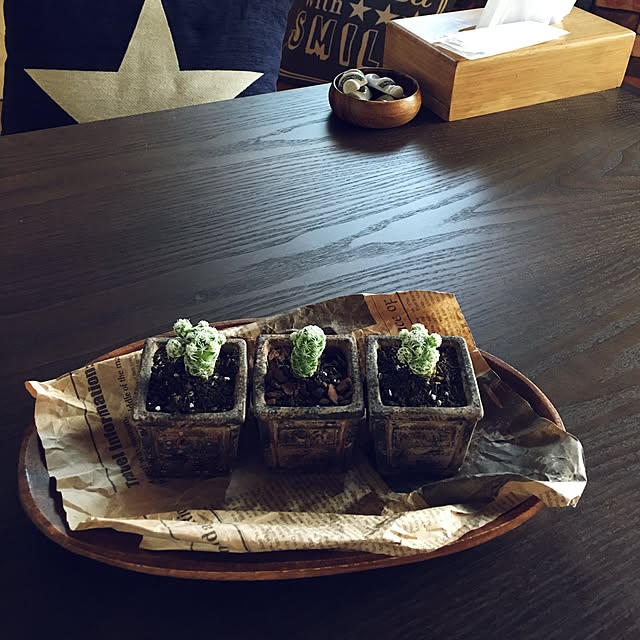 monrry325さんの実例写真