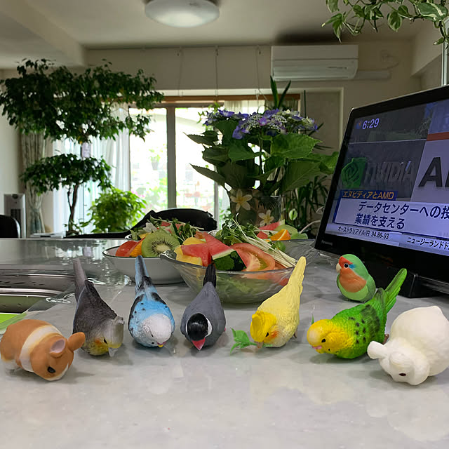 Aqettyさんの実例写真