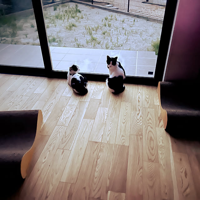 santar222さんの実例写真