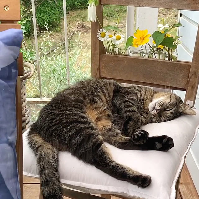weさんの実例写真