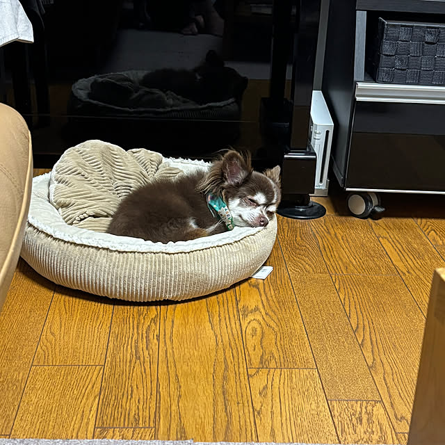 chIoeさんの実例写真