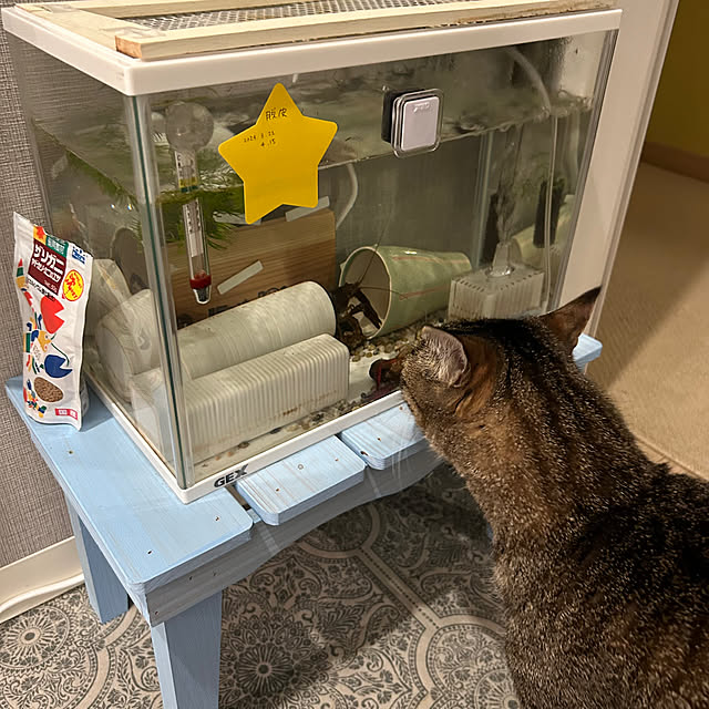 mikomaruさんの部屋