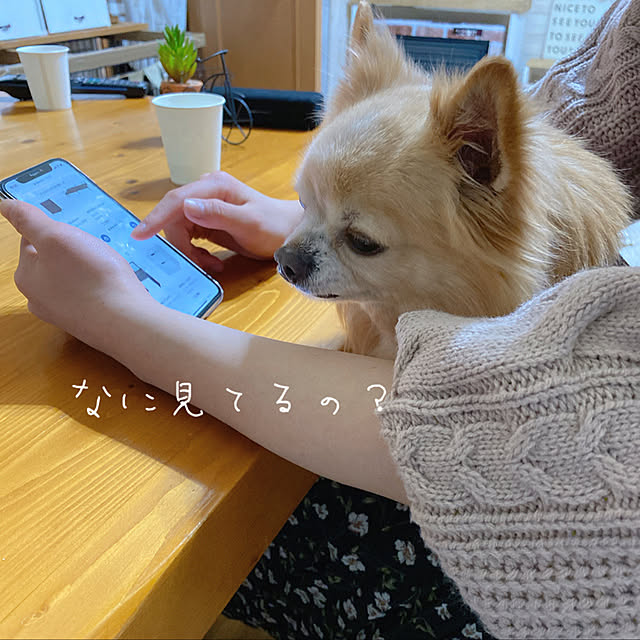chi-koさんの実例写真
