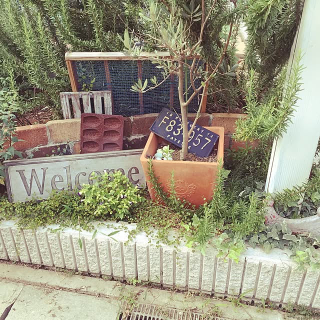 simeji57さんの実例写真