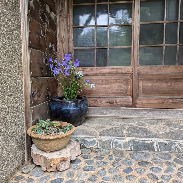 kuririnmamaさんの部屋