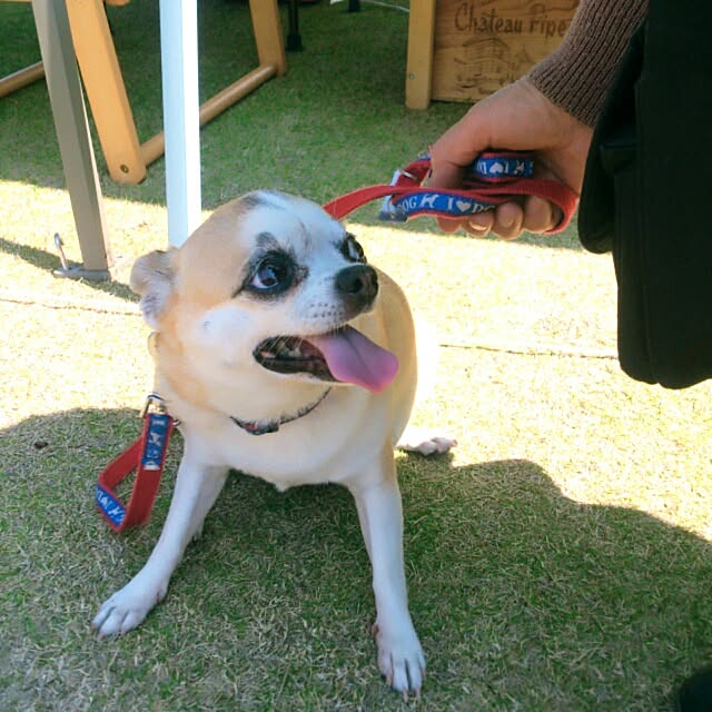 usukoさんの実例写真