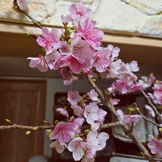 mocomocoさんの部屋