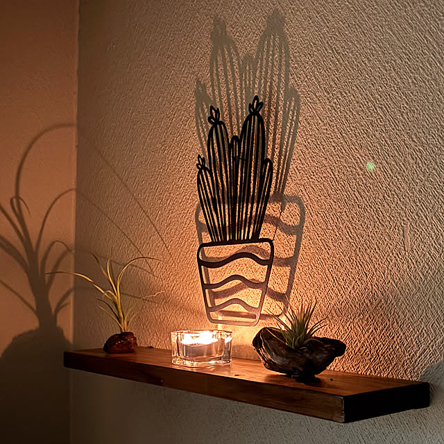 ANDYさんの実例写真