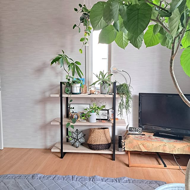 Jijiさんの実例写真