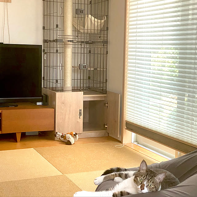 maekopc4さんの実例写真