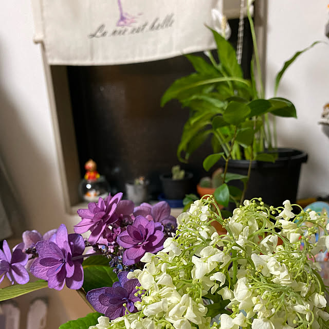 tomoka0107さんの実例写真