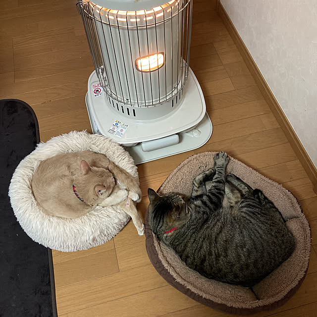 mikan161さんの実例写真