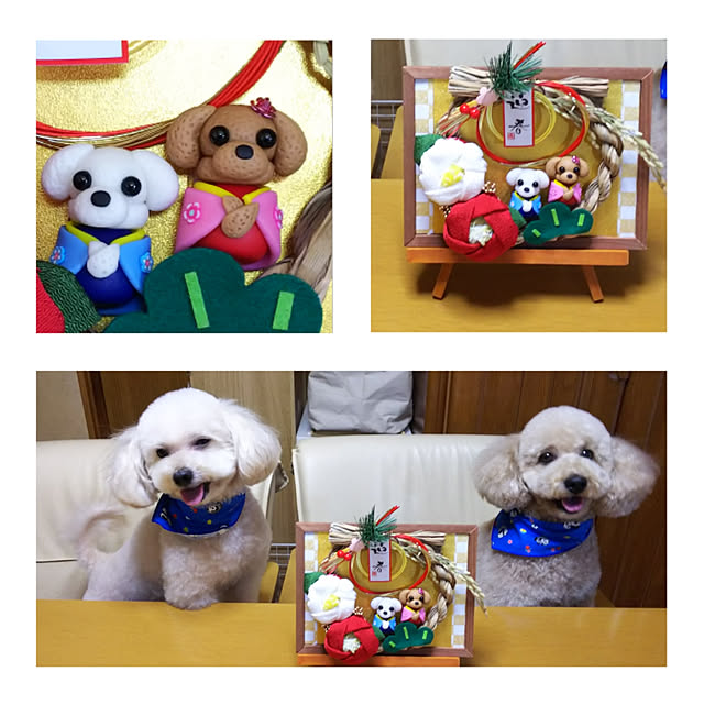 yumirinさんの実例写真