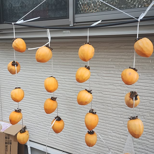 kana_ciiさんの部屋