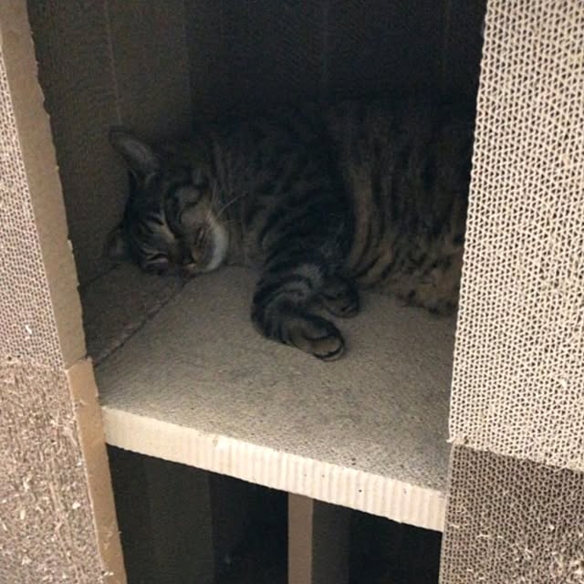 mori_6_12さんの部屋