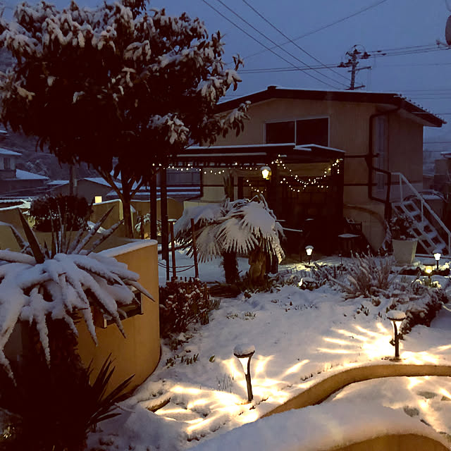 aiaiさんの実例写真