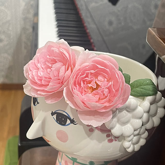 SIELUさんの部屋