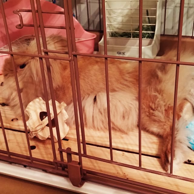 nana80174886hさんの実例写真