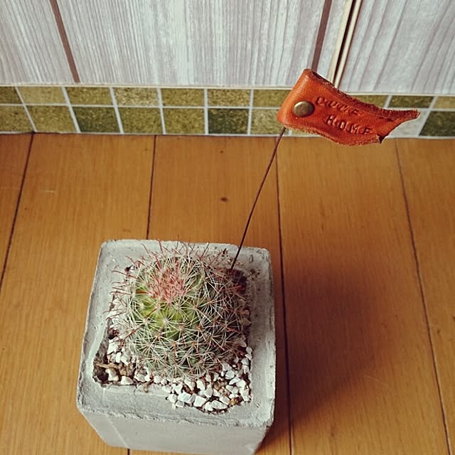 miporin0711さんの実例写真