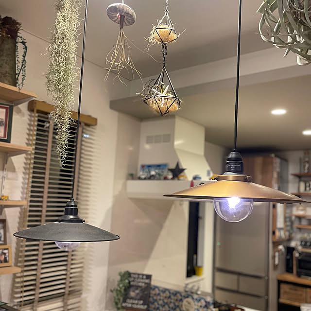 adamoさんの部屋