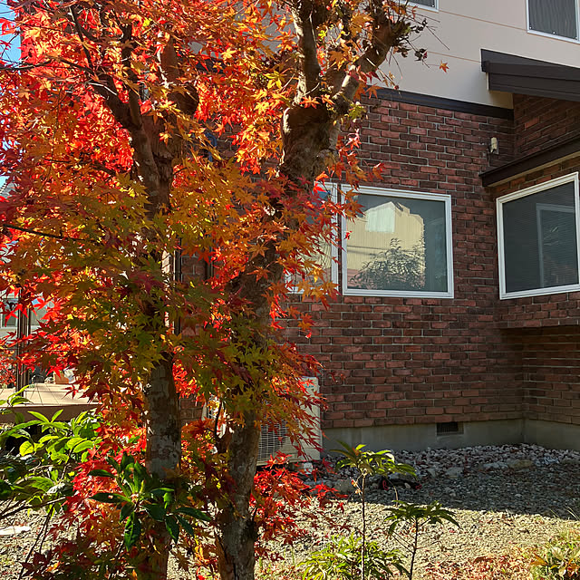 ikubooさんの部屋