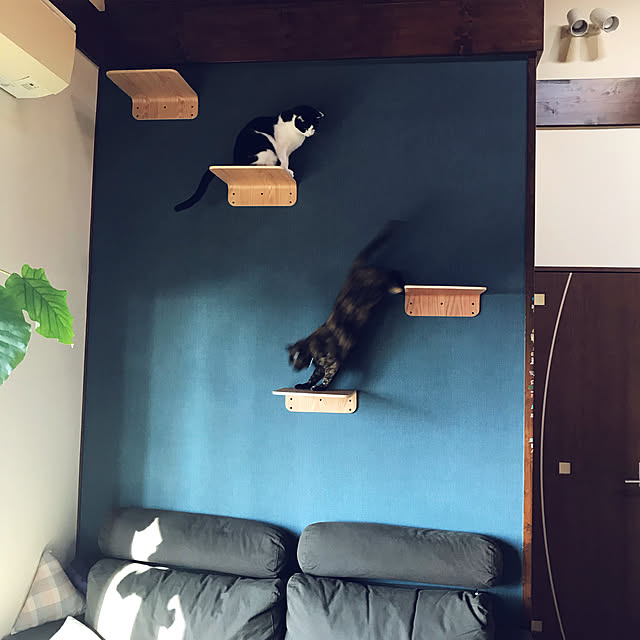 noraさんの実例写真