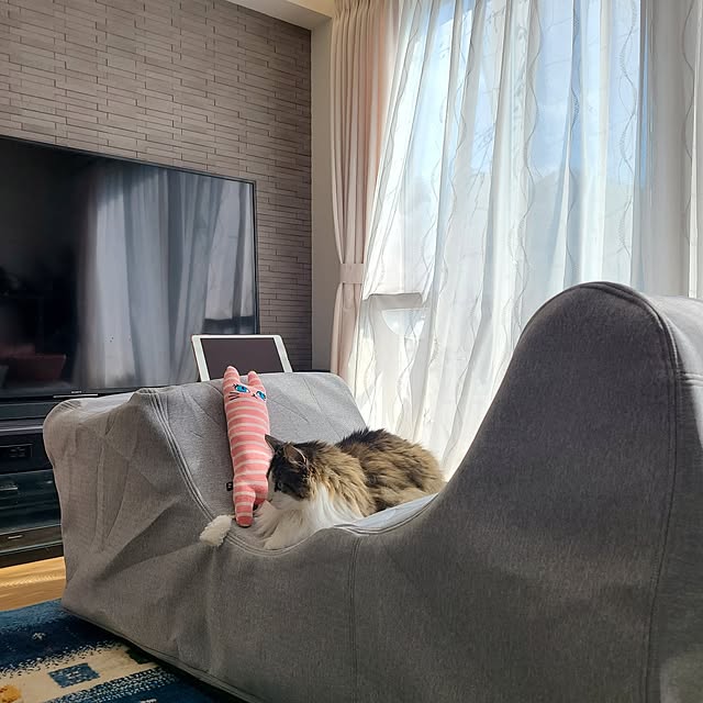 akiko6193さんの部屋