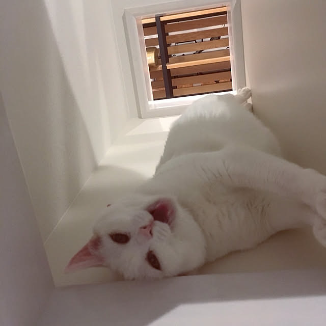 karenさんの実例写真
