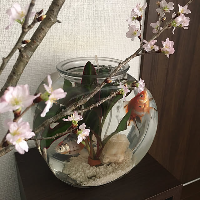 yuminnieさんの実例写真