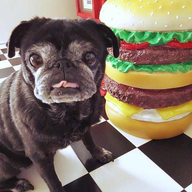 kuupugさんの実例写真