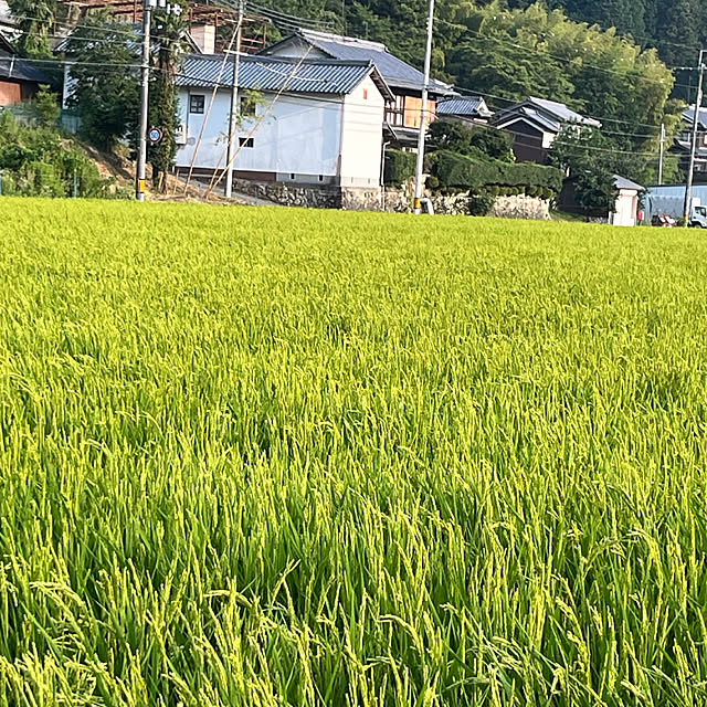 cotaさんの部屋
