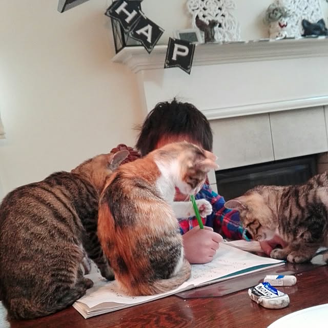 noraさんの実例写真