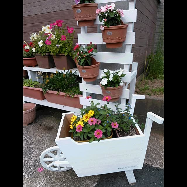 puchittocountryさんの実例写真