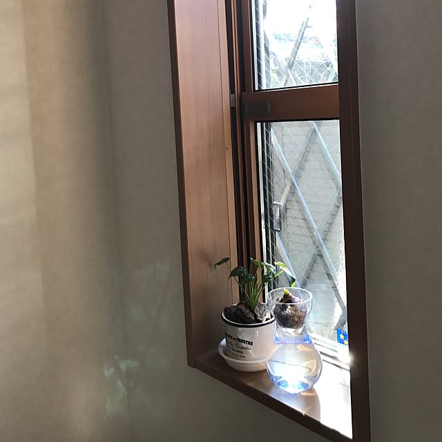 putihmamaさんの実例写真
